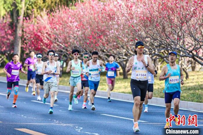 海淀马拉松串联三山五园 10公里精英赛点燃京城